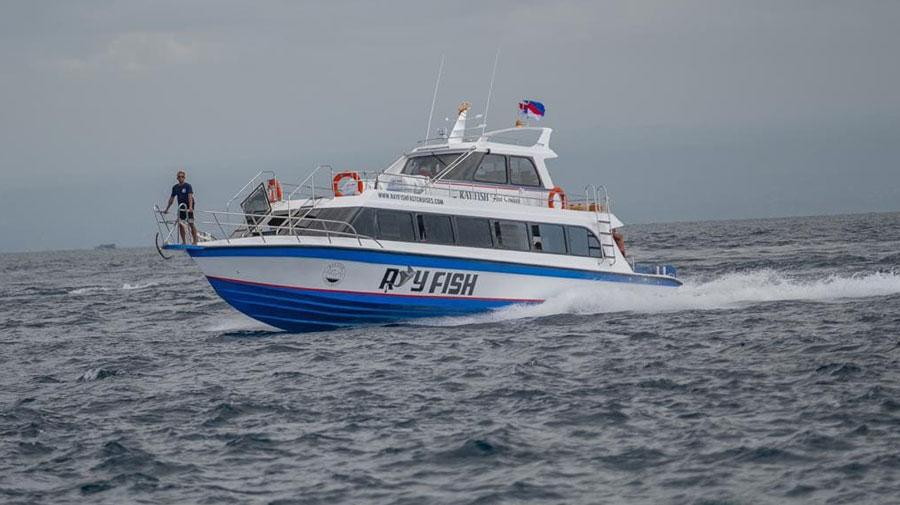 Ray Fish Fast Cruise Ferry to Nusa Penida